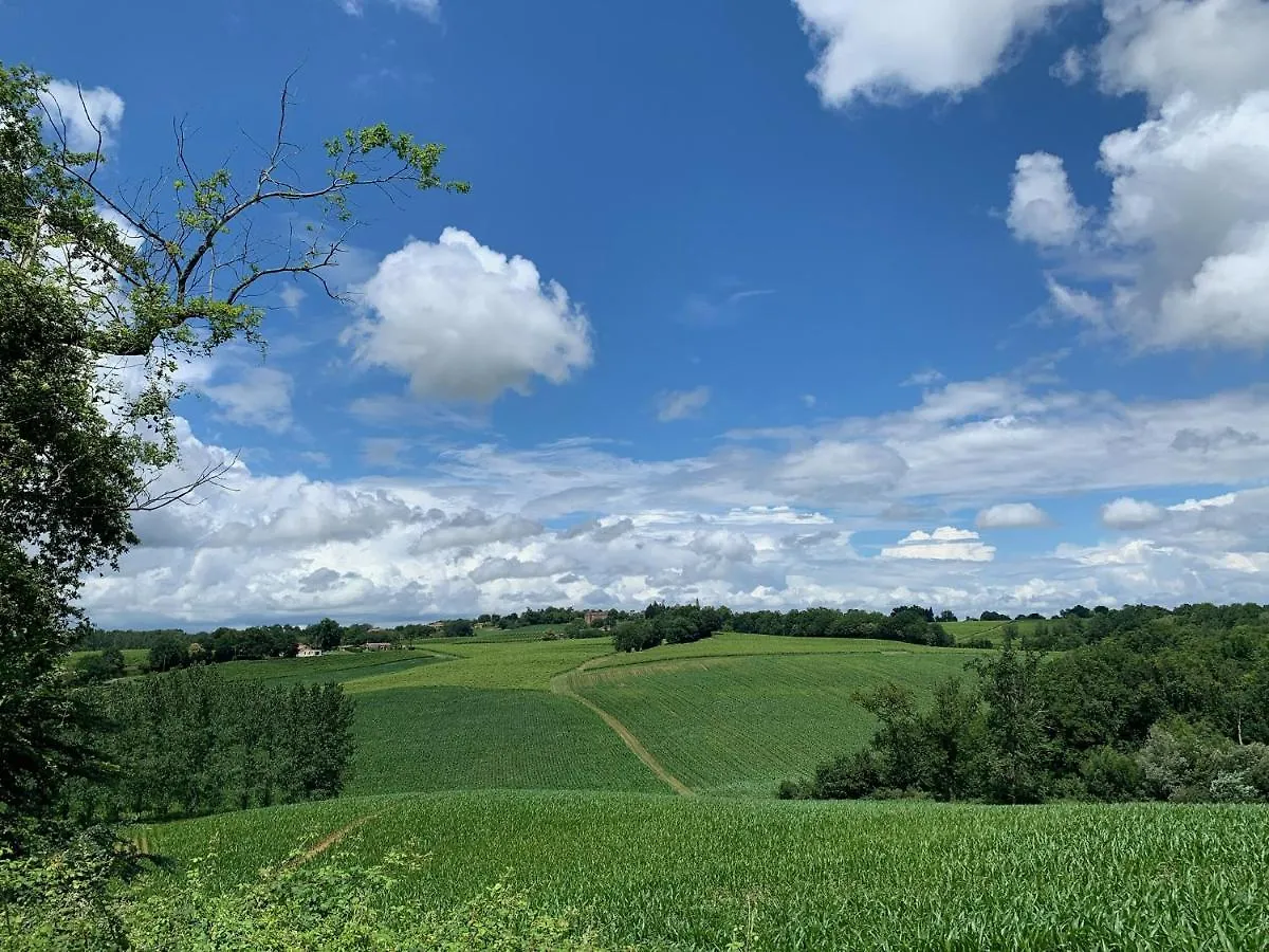 Majellon Grand Appartement Sainte-Christie-d'Armagnac